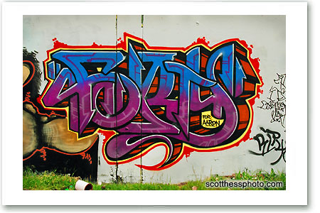 petaluma graffiti painting
